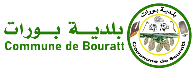 موقع بلدية بورات